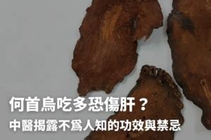 何首烏粉功效|何首烏秋冬進補怎麼吃？醫列功效禁忌＋何首烏藥膳做。